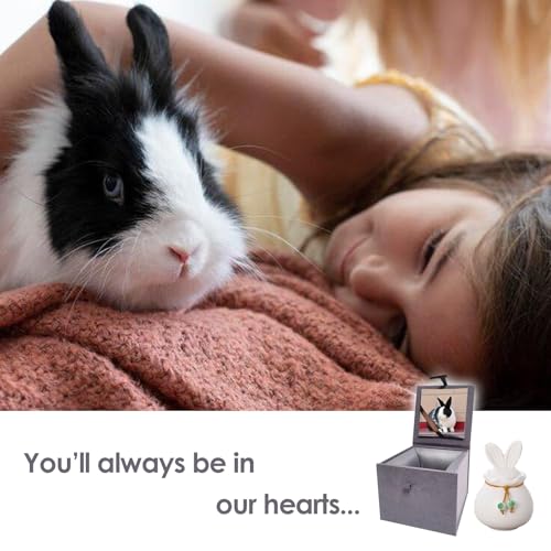 Ceramic Pet Urn for Ashes, Bunny Urn with Photo Display Box-Matte White Matte White Rabbit S Size