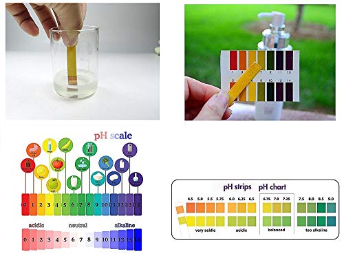 Pack of 240 pH Indicator Test Strips, 1-14, Litmus Paper, Ideal for Testing many Everyday Substances 1-in-1