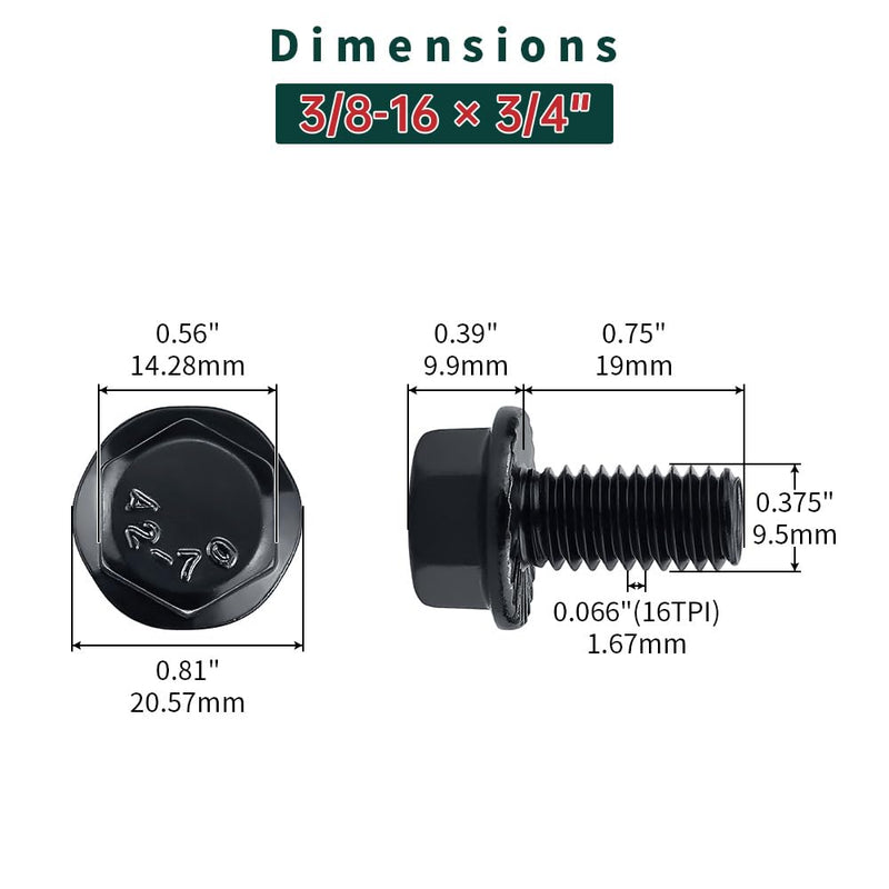 [Australia - AusPower] - 3/8-16 x 3/4" Flanged Hex Bolts (10 pcs), 18-8 (304) Stainless Steel, External Hex Drive, Hexagon Head Bolts Screws with Flange Washer, Fayeploo 3/8-16 x 3/4 Black 