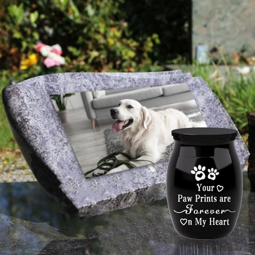Pet Urns for Dogs Ashes, Memorial Urns Small Urn for Pet Ashes, Mini Cremation Keepsake Urn for Dog Cat to Remember Your Love (Black, Small) Black