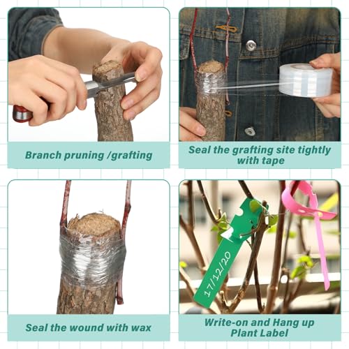 Leriton grafting tool kit with grafting wax, knife, and tape for fruit trees