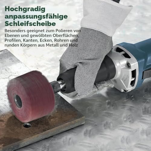Pack of 12 Sanding Discs, Flap Sander, Lamellar Grinder, Sanding Mop Set 20/25/30/40/50/60 mm, Abrasive Fleece, Polishing Disc for Metal, Wood (6 mm)