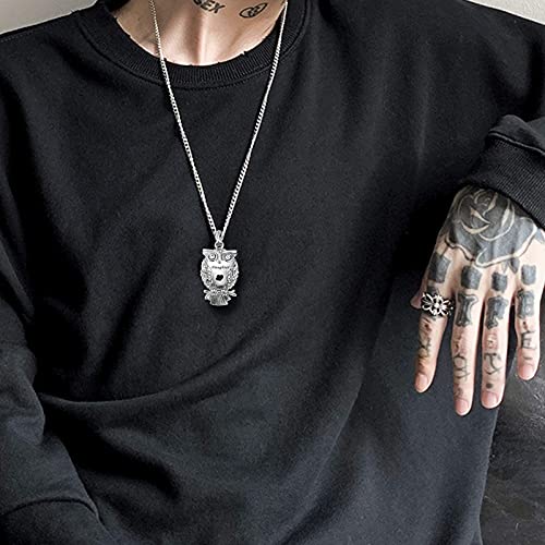 Owl Animal Cremation Urn Necklace for Ashes Crystal Memorial Keepsake Pendant Jewelry with Funnel Filler Kit for Dad Mom Grandma