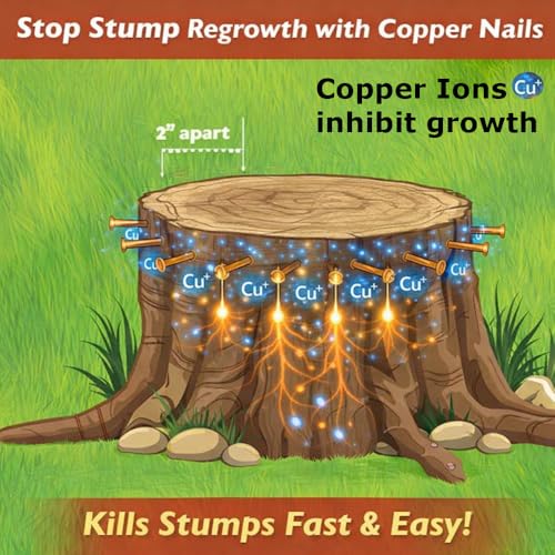 25 4-inch copper clad masonry nails by Brauny Boy Hardware for killing trees and stumps, no predrilling required