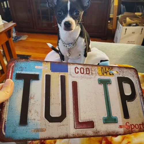 Vintage Metal Sign Just A Girl Who Loves Jesus License Plate Plate-2God-04 12"L x 6"W