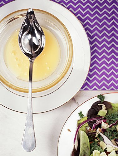RSVP International Endurance Culinary Sauce Spoon, Mini Ladle with Gravy Pour Spout, Dishwasher Safe, 18/8 Stainless Steel, 9x1.75x2" 9x1.75x2"