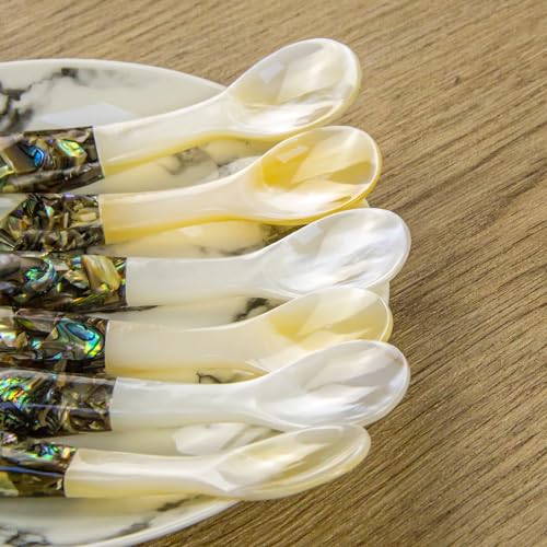 DUEBEL Set of 6 Caviar Spoons of Abalone Handle, 4" Mother of Pearl Spoons for Caviar Serving, Egg Serving, Catering Event Tableware, Restaurant Table Decor