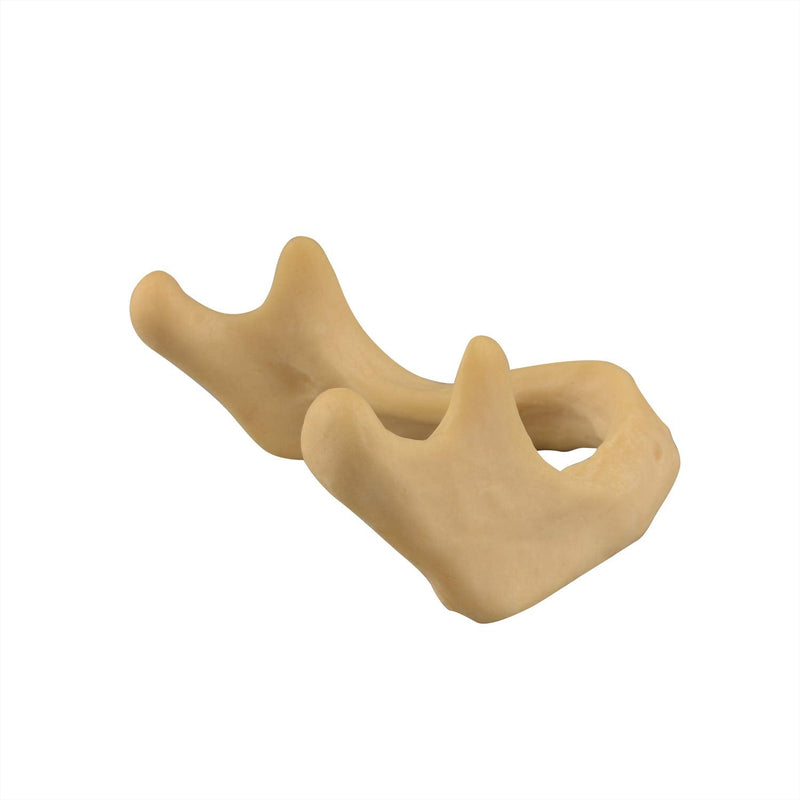 [Australia - AusPower] - Plain Mandible for Drilling Practice, Basic Implant Training Model for Dental School Students, Great Dental Training Tooth for Dental Implant Practice 