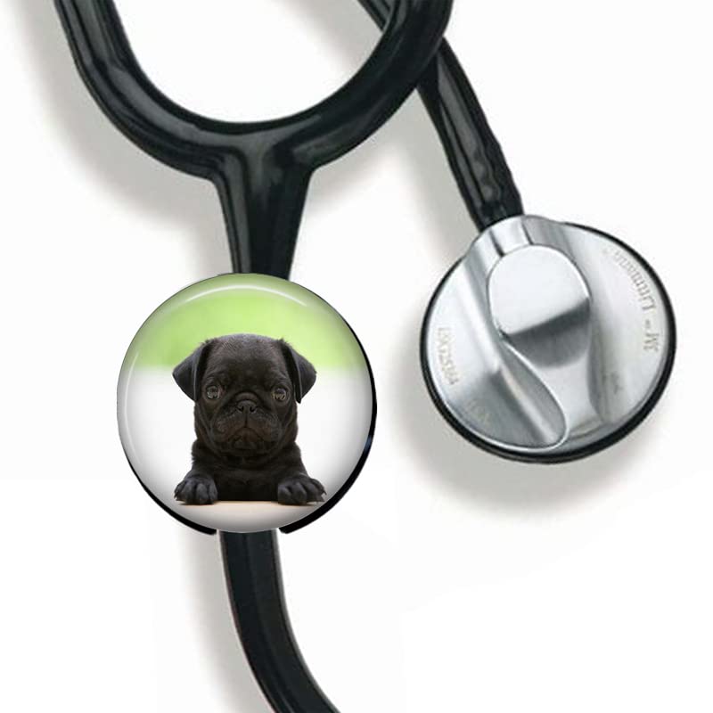 [Australia - AusPower] - CHNLML Stethoscope Name Tag Nurse Doctor Stethoscope ID Tag Customized Steth ID Tag (Black Pug Puppy) Black Pug Puppy 