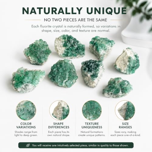 1Pc Natural Green Fluorite Cluster Specimen 0.36-0.45lb - Druzy Quartz Healing Crystal for Energy, Meditation, and Home Decor
