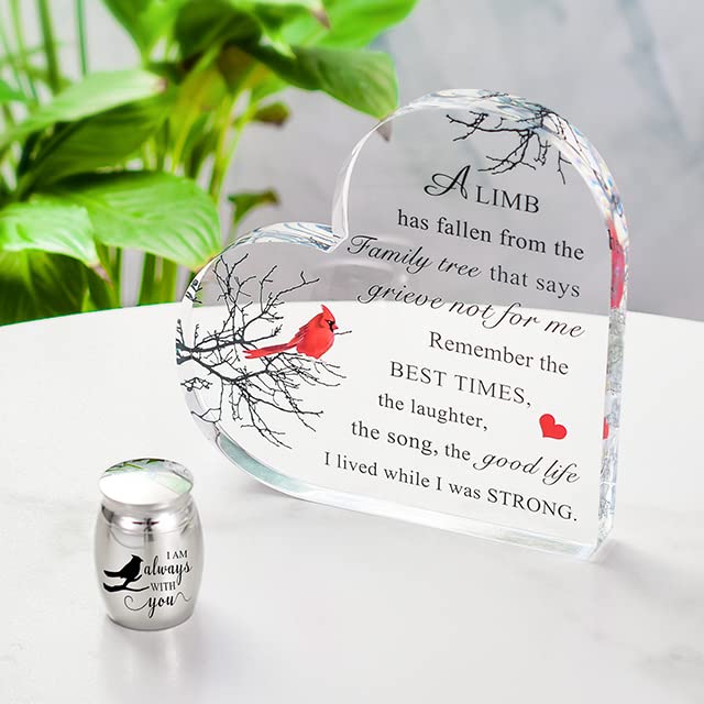 Cardinal Medium Urns for Adult Female Memorial Gifts - Keepsake Urns for Ashes Cardinal