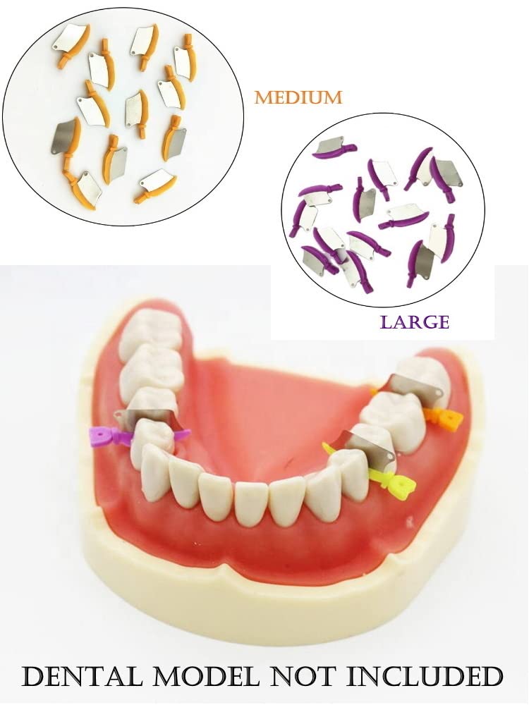 [Australia - AusPower] - Dental Wedge Guard with Metal Plastic Knife and Protection Matrix for Teeth Interproximal Area 50pcs/box (MEDIUM) 