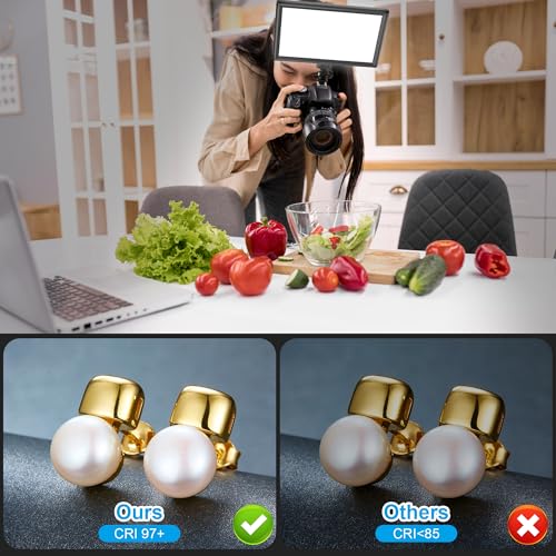 15W LED Video Lighting Kit, 9" Camera Light with 5000mAh Battery