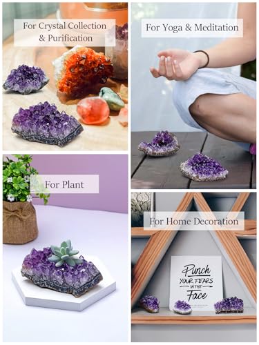 Top Plaza Natural Amethyst Crystal Geode,Rock Stones Cluster 0.44-0.66 Lb