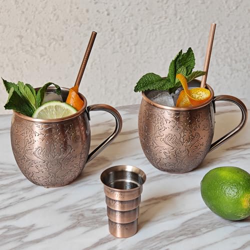 Sky Fish 3D Etched Moscow Mule Copper Plated Mugs Set of 2 Stainless Steel Mugs 18 oz Premium Gift Set with 2 Cocktail Copper Straws, Jigger