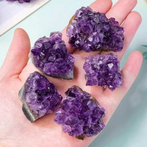 Erliway Amethyst Crystal Cluster for Meditation & Home Décor, 0.11-0.13 lb
