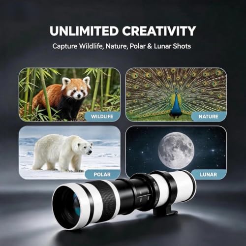JINTU 420-800mm f8.3 Telephoto Zoom Lens Manual for Nikon SLR Cameras D5600 D5500 D5300 D5200 D5100 D3100 D3500 D3400 D3300 D3200 D7500 D7200 D90 Wildlife Birds