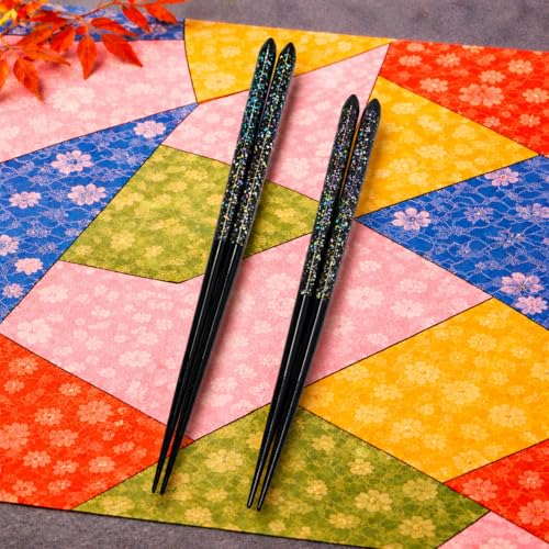 Premium Japanese Chopsticks Set for 2 [Made in Japan] Reusable Wooden Chopsticks with Elegant Iridescent Inlay Traditional Lacquered Finish E (Dreamscape 2prs (MK065)) Dreamscape 2prs (MK065)