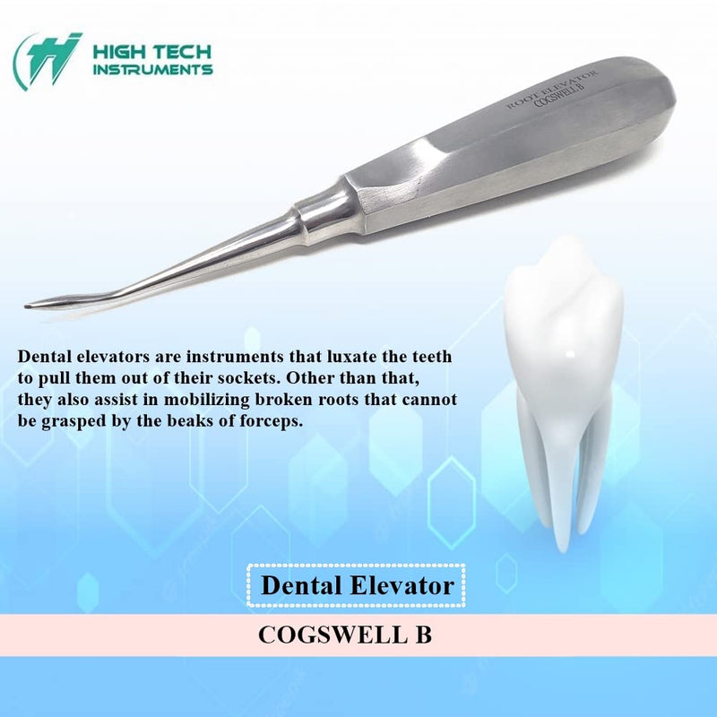[Australia - AusPower] - Dental Elevator Cogswell B for Tooth Molar Root Extraction Made of Stainless Steel with Hollow Handle Surgical Implant Luxating Instruments 