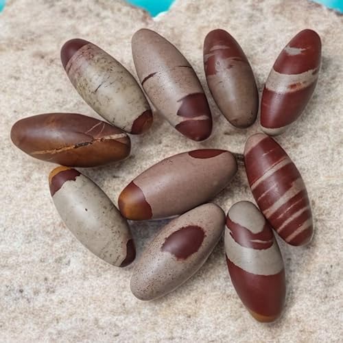 3.75" Inch Narmadeshwar Narmada River India Special & Pure Rare Lingam Healing Crystals | Religious Crystals Gifts | Shiva Lingam Stone Polished Stone Religious Stone Narmada River