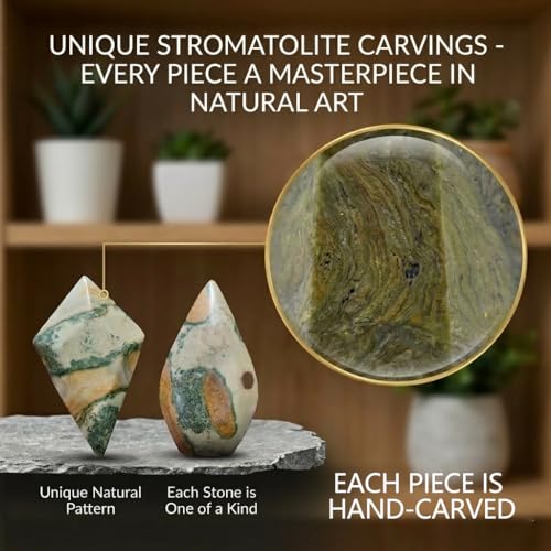 Crystal Healing Nature stromatolite Fossil Gemstone, 1.8 Billion Year Old Natural Algae Ancient Stone, Diamond-Shaped Stromatolite Fossil for Professional Desk Decor and Reiki Meditation. Rhombus