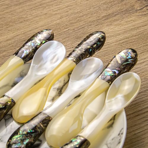DUEBEL Set of 6 Caviar Spoons of Abalone Handle, 4" Mother of Pearl Spoons for Caviar Serving, Egg Serving, Catering Event Tableware, Restaurant Table Decor