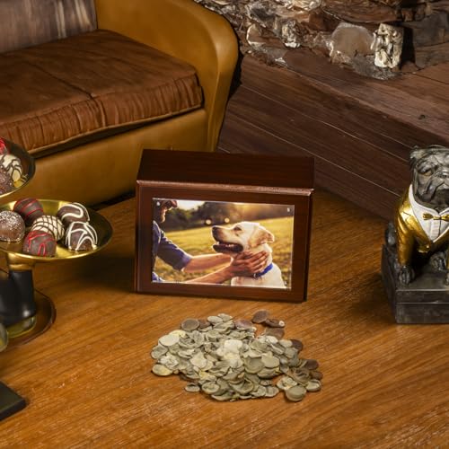 Companion Photo Urn with Acrylic Magnetic Picture Frame for Human and Pet Ashes, Cremation and Aquamation Urn for Adults, Infants, and Pets, Memorial Keepsake Urn (Walnut, Small) Walnut