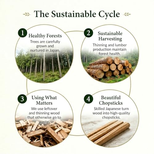 Premium Disposable Chopsticks Made in Japan, Cedar Wood 45 Pairs 8.3 Inch Japanese cedar x 3 packs