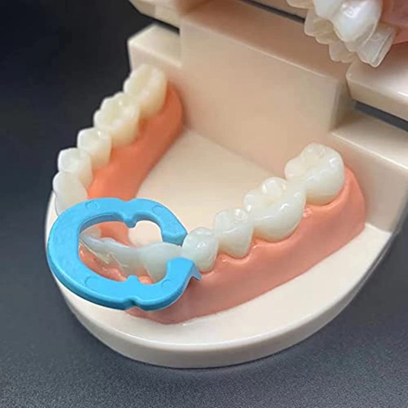 [Australia - AusPower] - 4PCS Dental Resin Clamping Ring Separator Ring Sectional Contoured Metal Matrices Holder Matrix Clips Autoclavable 