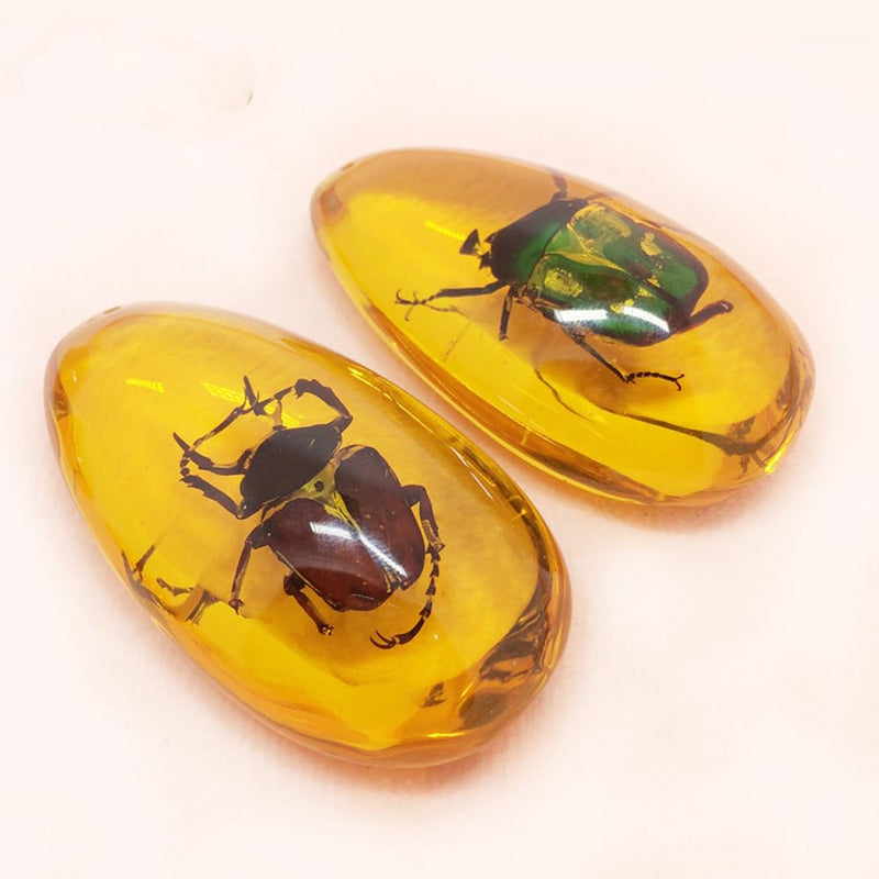 18 pcs Insect Amber Fossils, BOSOIRSOU Amber Fossil Pendants, Different Insect Specimen, Bug Preserved in Resin, Kids Educational Toy and Scientific Amber Collections - Random Patterns