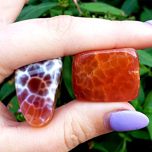Fire Agate from Mexico Tumbled & Hand Polished Natural Protection & grounding Crystal Healing Metaphysical Spiritual Gemstone 1pc