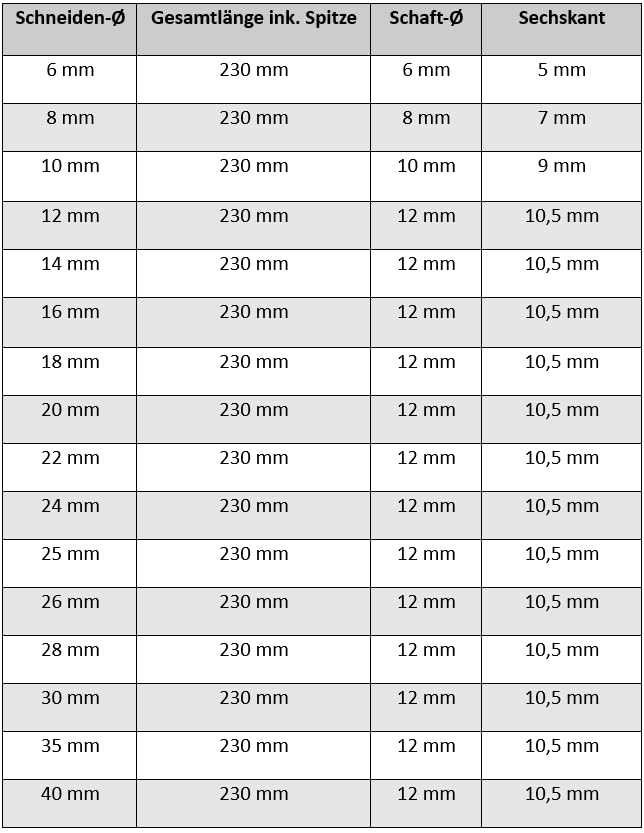 [Australia - AusPower] - AM-Zerspanungstechnik Auger Drill Bit 20 mm - 400 mm | Wood Drill Long | Lewis Spiral Drill Bit (Diameter 20 x 400 mm) 400 mm, 20 mm 