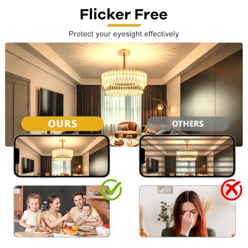 Morotty G4 Halogen Light Bulb 20W 12V 2700K Warm White Pack of 12 | 240 lm halogen lamp, up to 300 °C, dimmable, for cooker hoods, ovens, microwaves 20 Watt