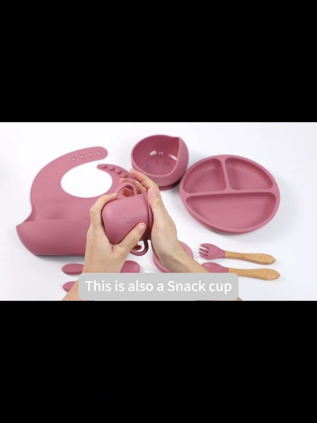 100% Silicone Baby Feeding Set,BPA Free Baby Dishes Set with Suction Bowl Divided Plate,Toddler Self Feeding Dish Set with Spoons Forks Sippy Cup and Bib, Baby Eating Utensils(Purple) Purple