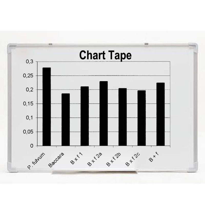 1/4 Pinstripe Whiteboard Dry Erase Tape Line Gridding Marking | 14 Rolls/ 166 Feet White Board Tape Mara Tapes Vinyl Self-Adhesive with a Scissor Multicolored