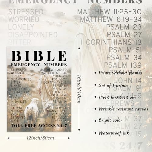 Dazzlewall Inspirational Bible Emergency Number Wall Art,Jesus & Lamp Walking in Field Religious Canvas Prints for Church Prayer Room Bedroom Living Room Decor 12x16 in Unframed Multicolour