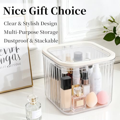 THMINS 2 Pack Hair Accessories Organizer for Girls,Clear Storage Box Big 2 Pack Clear