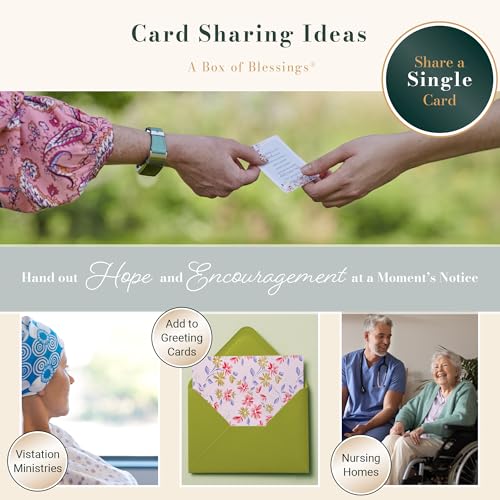 Retro Blessings 101 Blessings of Grace Cards, Inspirational Scripture Cards to Keep or Share (Boxes of Blessings)