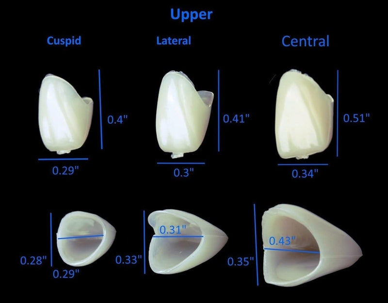 [Australia - AusPower] - Mixed Sizes Dental Temporary Crown Kit Anteriors Box/50 