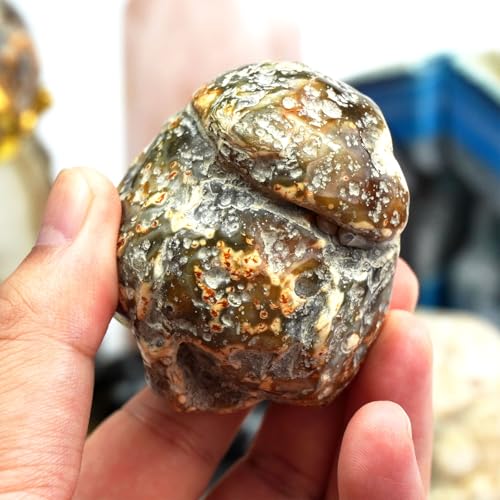 Natural Polished Brazilian Agate Rough Rock 1 Pc - Irregular Shaped Healing Crystal Stone for Tumbling,Energy, Meditation, and Decor Collection Gifts Decor