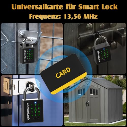 Anweller RFID Card, Black with Yellow Lettering, 13.56Hz Access Card, 5 Piece Set with Lanyard, Security Card for Access Control