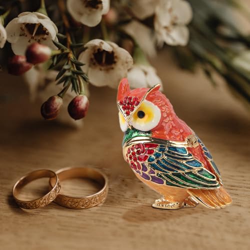 Leopacat owl figurine jewelry box, small dish for jewelry storage, decorative home decor with detailed owl design.