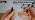 ALBO Automatic Center Punch, 5", Black, Standard Cap, 2 Pcs 5'' black pack of 2