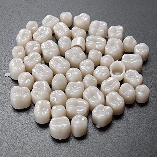 [Australia - AusPower] - New 2 Packs Dental Temporary Crown Material for Anterior + Molar Teeth Veneers 