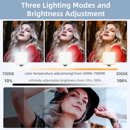 Zeadio Portable LED Pocket Light with Clip - Adjustable 3000K-7000K Color Temperature Camera Light, CRI95, Small Video Selfie Light for Tabletop Filming/Selfie/Cell Phone/Photography, Pack of 2