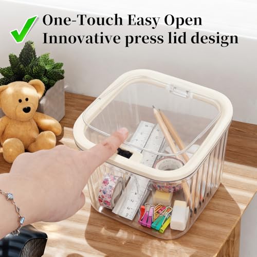 THMINS 2 Pack Hair Accessories Organizer for Girls,Clear Storage Box Big 2 Pack Clear