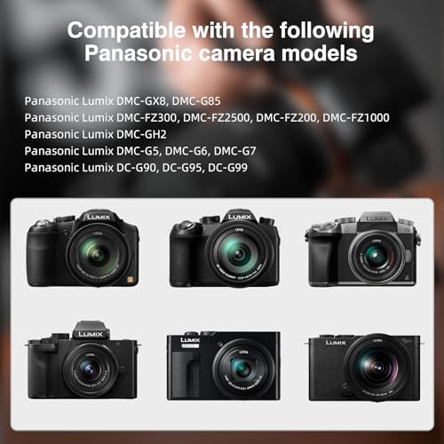 DMW-DCC8 DC Coupler DMW-AC10 DMW-BLC12 DMW-AC8 Dummy Battery Kit with USB-C Cable for Panasonic Lumix DMC-GH2 G5 G6 G7 G80 G81 G85 G5X GX8 FZ300 FZ1000 FZ2500 DC-G90 G95 G99 Camera (DCC8) DCC8