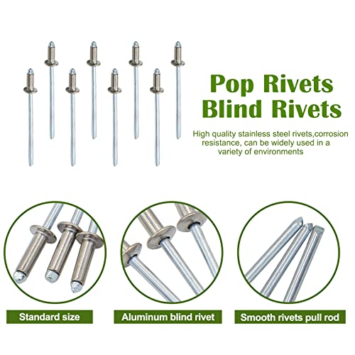 Piutouyar 100Pcs 1/8" x 1/4" Stainless Steel Pop Rivets Assortment, 3.2x6.4mm Dome Head Blind Rivets Metal Boat Rivet for Kayak, Canoe (Pack of 3) 1/8" x 1/4" (Pack of 3) Silver
