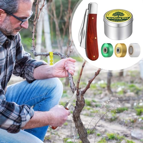 Leriton grafting tool kit with grafting wax, knife, and tape for fruit trees