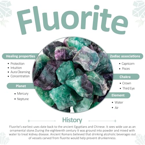 Amogeeli Natural Green Fluorite Crystal for Home Office Tabletop Decor Rough Stone Mineral Specimen for Healing 1.1-1.32 lb